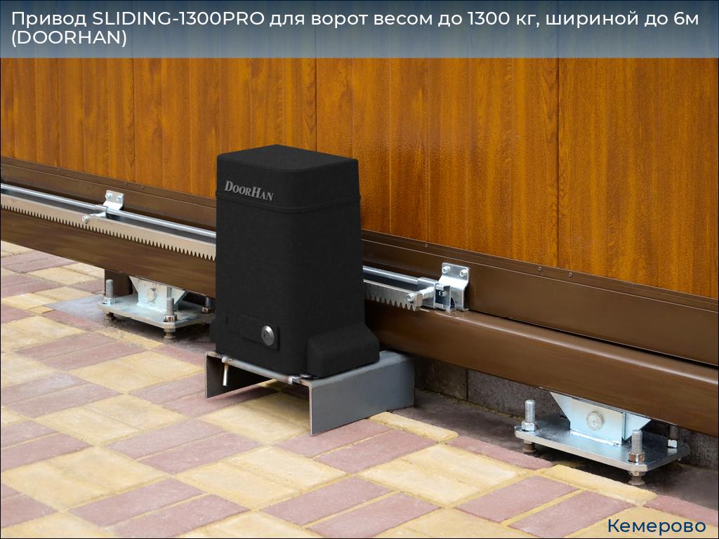Привод SLIDING-1300PRO для ворот весом до 1300 кг, шириной до 6м (DOORHAN), www.kemerovo.doorhan.ru