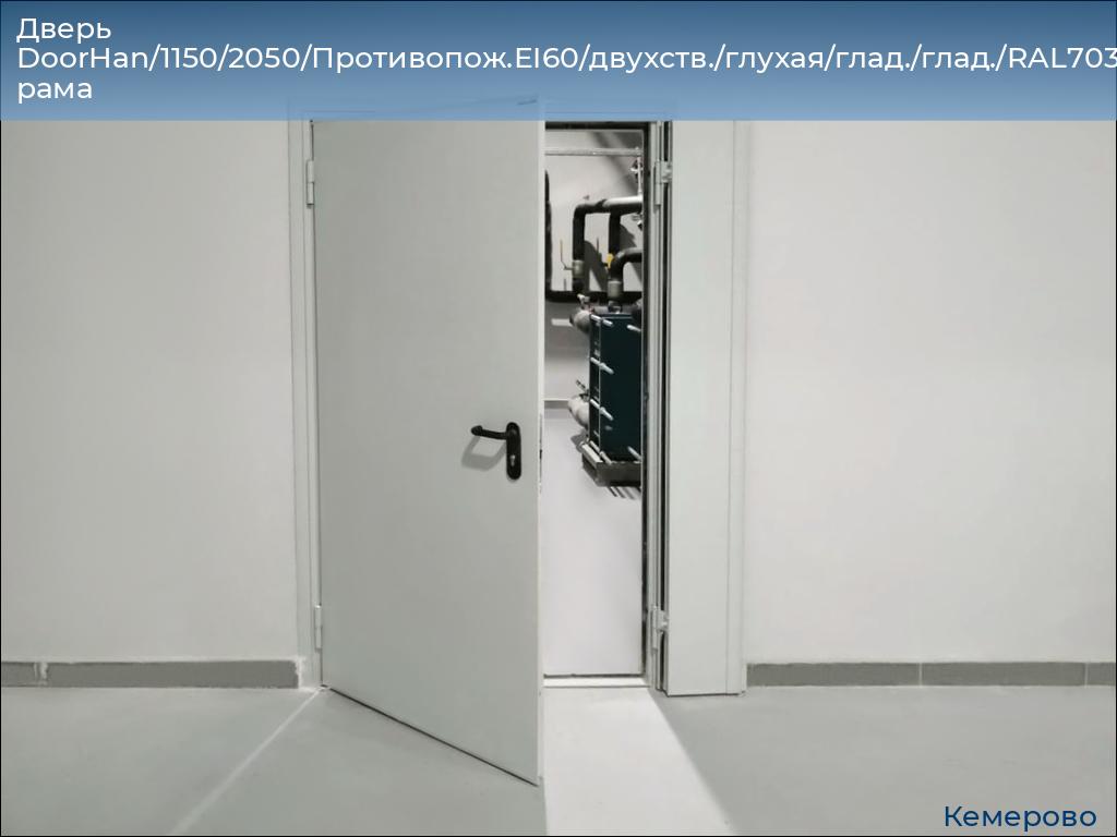 Дверь DoorHan/1150/2050/Противопож.EI60/двухств./глухая/глад./глад./RAL7035/прав./угл. рама, www.kemerovo.doorhan.ru
