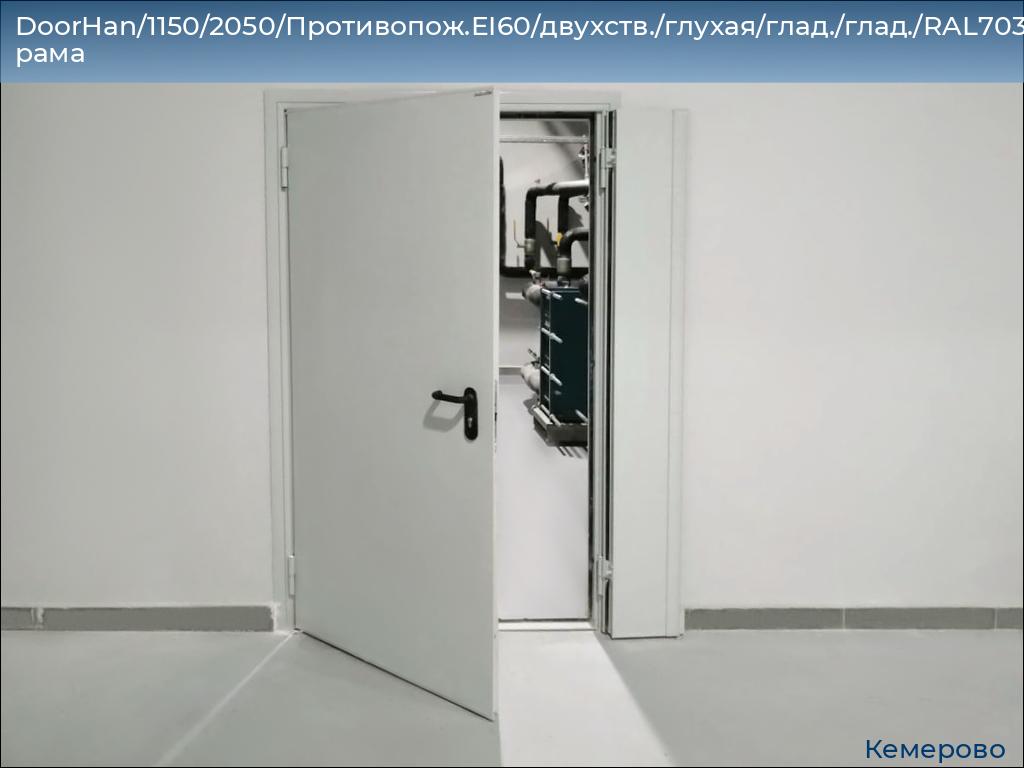 DoorHan/1150/2050/Противопож.EI60/двухств./глухая/глад./глад./RAL7035/лев./угл. рама, www.kemerovo.doorhan.ru