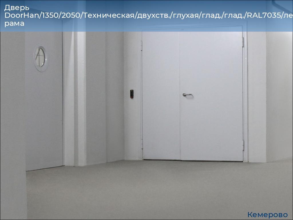 Дверь DoorHan/1350/2050/Техническая/двухств./глухая/глад./глад./RAL7035/лев./угл. рама, www.kemerovo.doorhan.ru