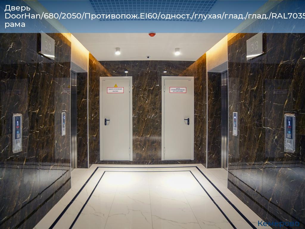 Дверь DoorHan/680/2050/Противопож.EI60/одност./глухая/глад./глад./RAL7035/прав./угл. рама, www.kemerovo.doorhan.ru