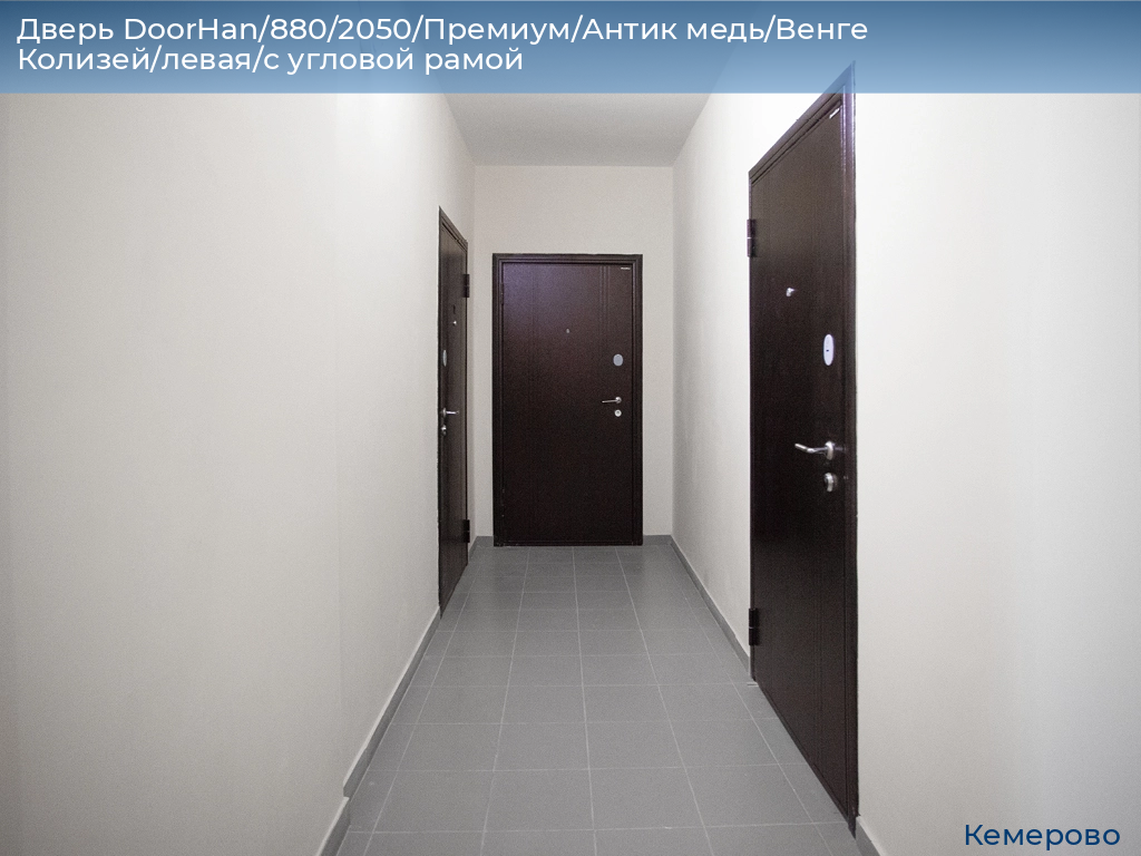 Дверь DoorHan/880/2050/Премиум/Антик медь/Венге Колизей/левая/с угловой рамой, www.kemerovo.doorhan.ru
