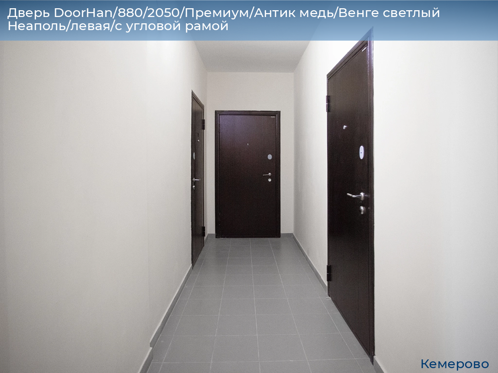 Дверь DoorHan/880/2050/Премиум/Антик медь/Венге светлый Неаполь/левая/с угловой рамой, www.kemerovo.doorhan.ru