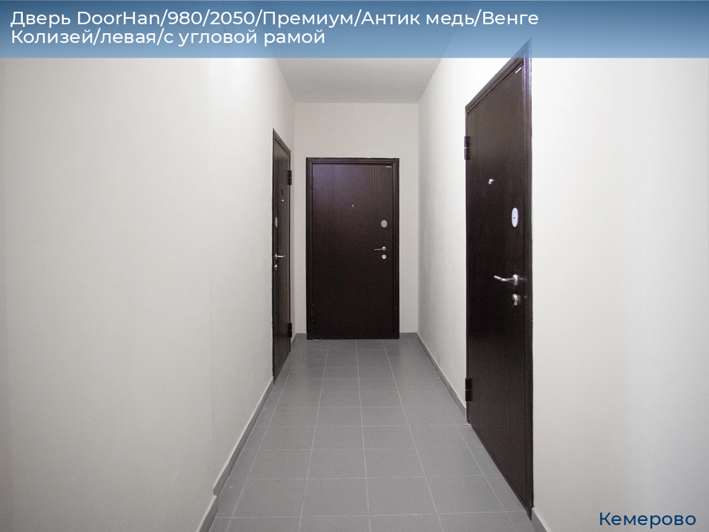 Дверь DoorHan/980/2050/Премиум/Антик медь/Венге Колизей/левая/с угловой рамой, www.kemerovo.doorhan.ru
