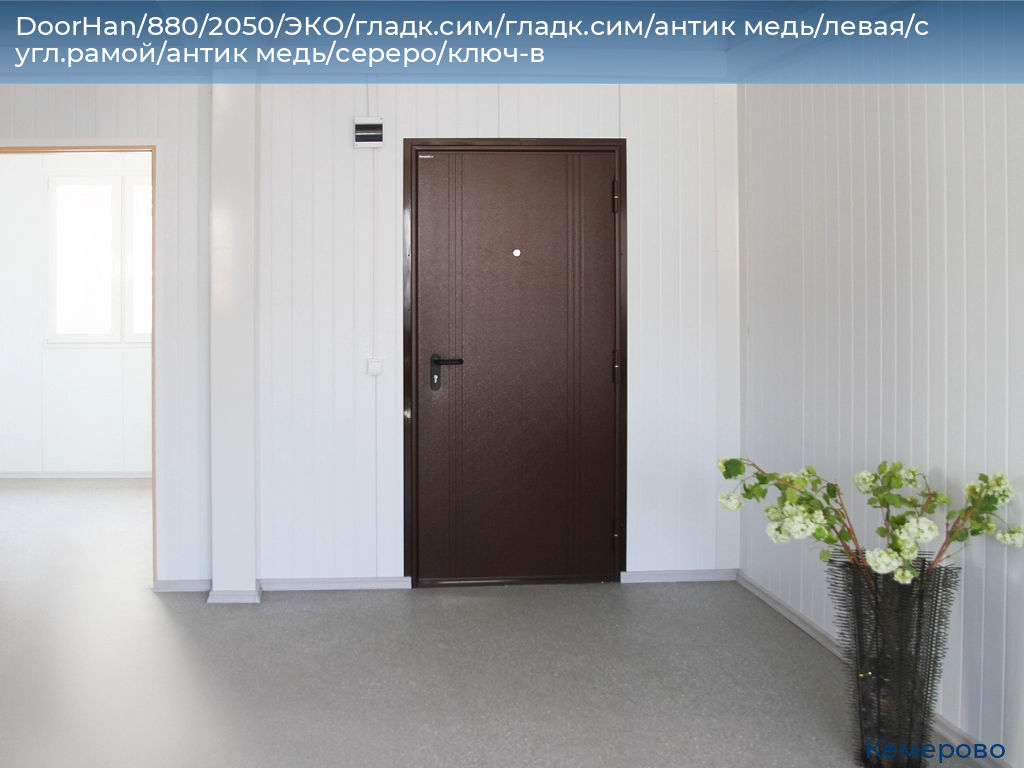 DoorHan/880/2050/ЭКО/гладк.сим/гладк.сим/антик медь/левая/с угл.рамой/антик медь/сереро/ключ-в, www.kemerovo.doorhan.ru